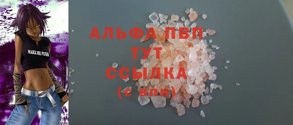 гашик Абаза