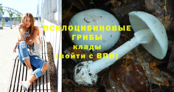 гашик Абаза