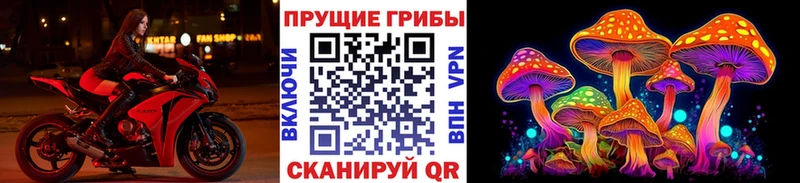 Псилоцибиновые грибы Psilocybine cubensis  ссылка на мегу зеркало  Устюжна  цены наркотик 